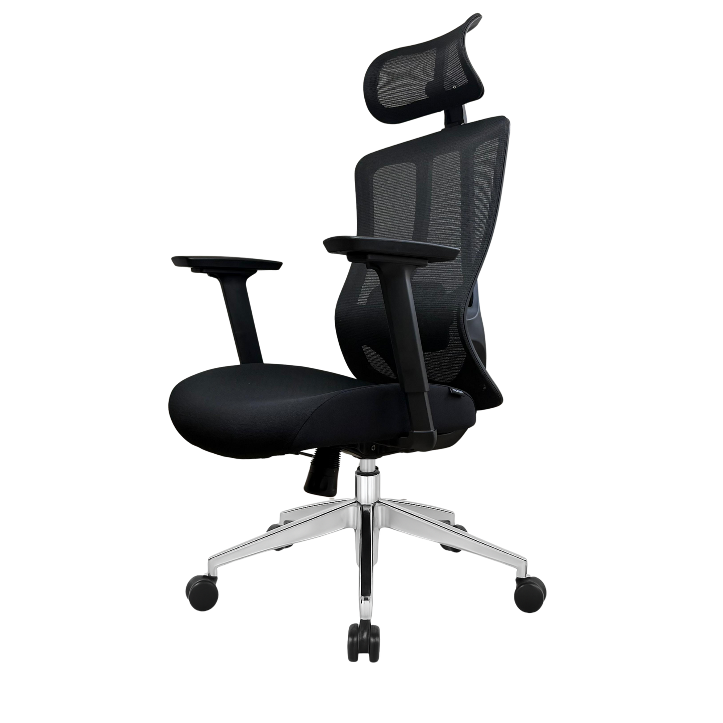 Silla de Escritorio Ergonómica Profesional - Valtora - Tiya Aqua