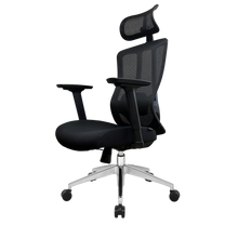 Silla de Escritorio Ergonómica Profesional Tiya Aqua - Valtora