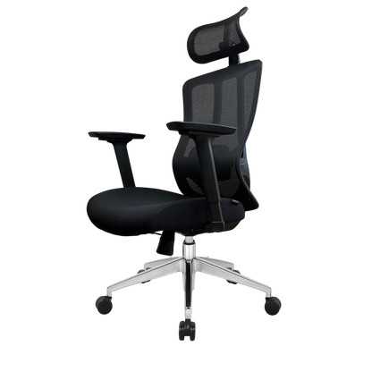 Silla de Escritorio Ergonómica Profesional - Valtora - Tiya Aqua