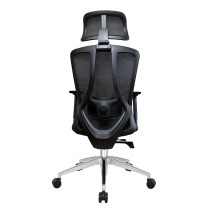 Silla de Escritorio Ergonómica Profesional - Valtora - Tiya Aqua