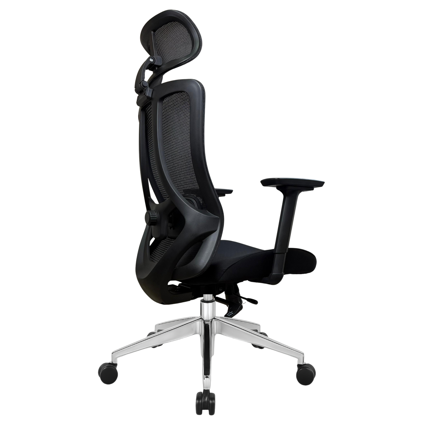 Silla de Escritorio Ergonómica Profesional - Valtora - Tiya Aqua