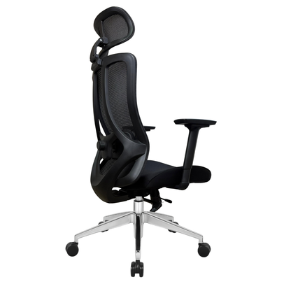 Silla de Escritorio Ergonómica Profesional - Valtora - Tiya Aqua