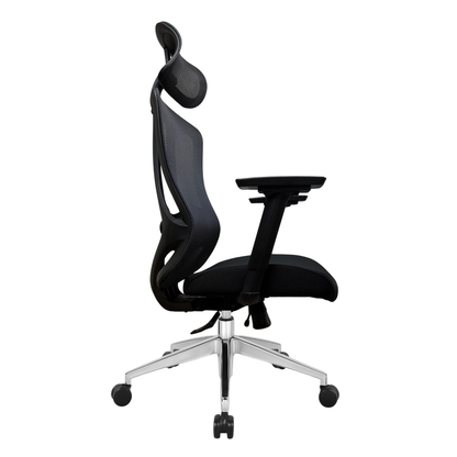 Silla de Escritorio Ergonómica Profesional - Valtora - Tiya Aqua