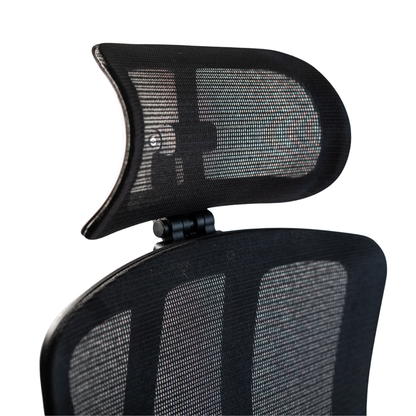Silla de Escritorio Ergonómica Profesional - Valtora - Tiya Aqua