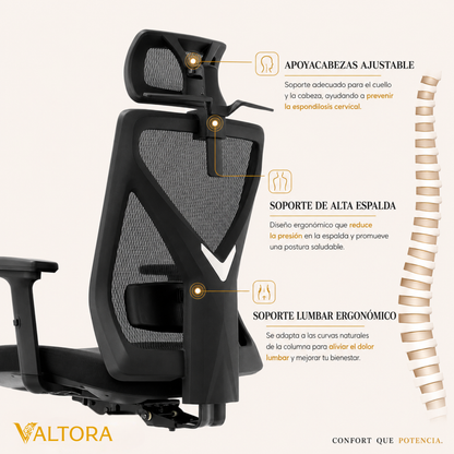 Silla de Escritorio Ergonómica Premium - Valtora - Mike Ignis