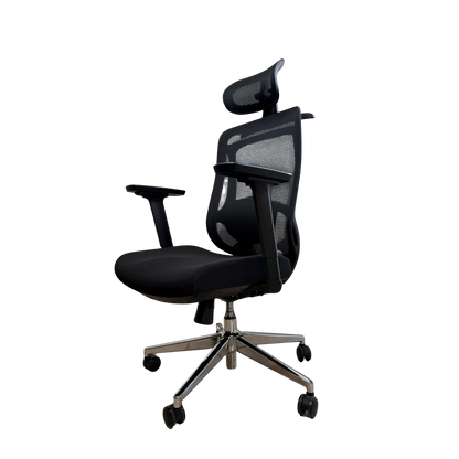 Silla de Escritorio Ergonomica Premium - Valtora - Icon Terra Plus