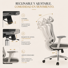 Silla de Escritorio Ergonómica Premium Icon Terra Plus Gris - Valtora