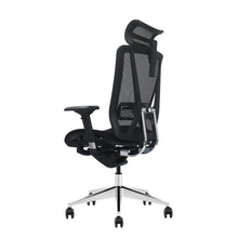 Silla de Escritorio Ergonómica Valtora Taiga 大河