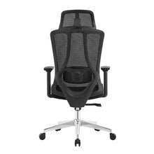 Silla de Escritorio Ergonómica Profesional Tiya Aqua - Valtora