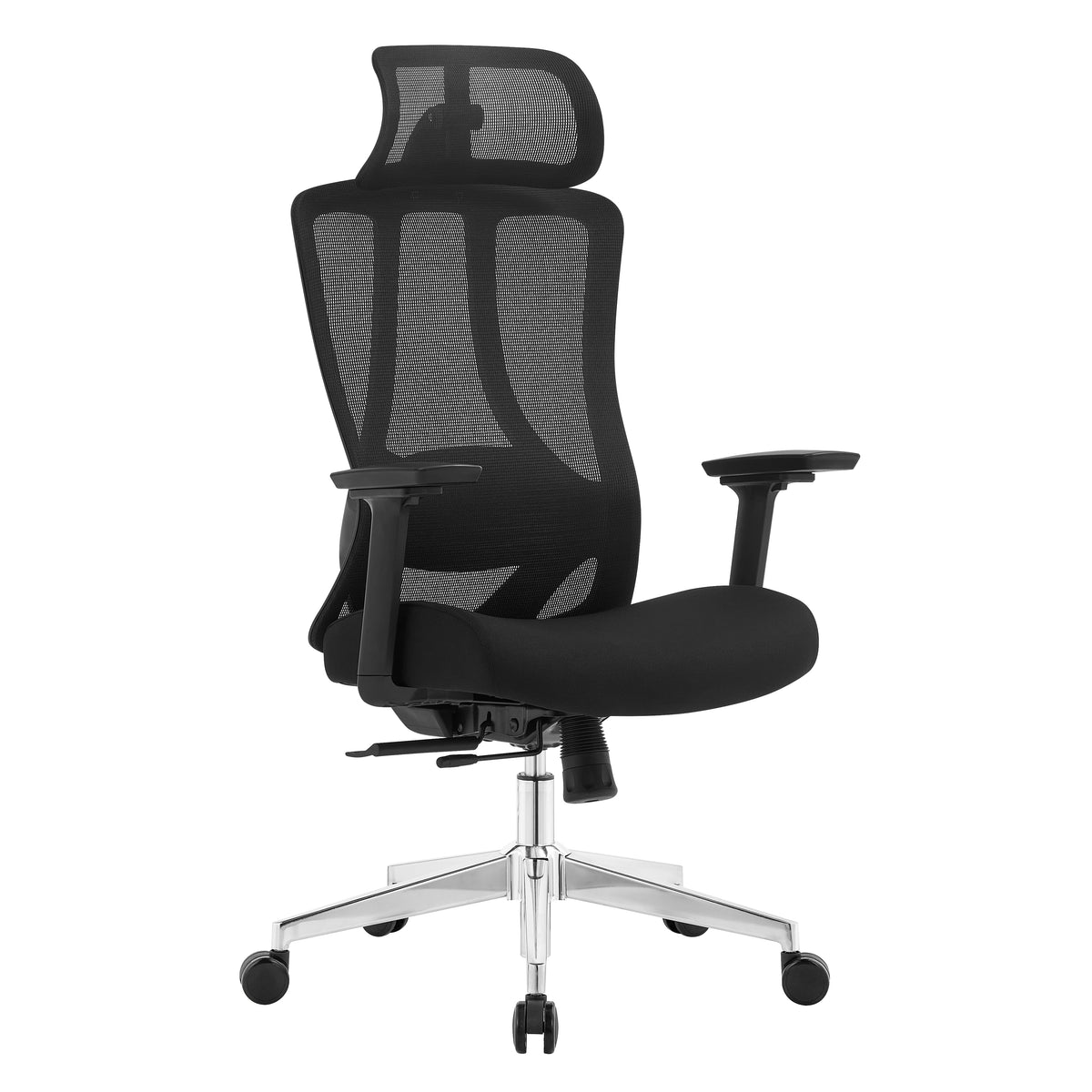 Silla de Escritorio Ergonómica Profesional Tiya Aqua - Valtora