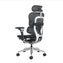 Silla de Escritorio Ergonómica Valtora Fuji 富士