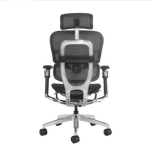 Silla de Escritorio Ergonómica Valtora Fuji 富士