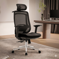 Silla de Ecritorio Ergonomica Premium - Valtora - Icon Terra Plus