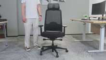 Silla de Escritorio Ergonómica Valtora Midori 緑