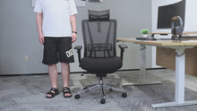 Silla de Escritorio Ergonómica Valtora Taiga 大河